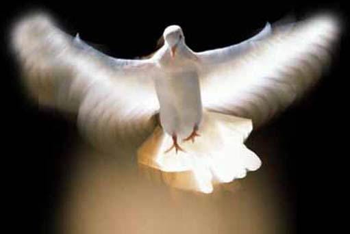 The 3 Different Relationships the Holy Spirit has with Humans christian truth center