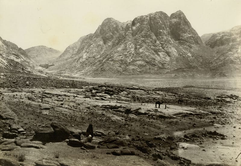 Abraham Allegory: – Law vs Grace Abraham Allegory: - Law vs Grace