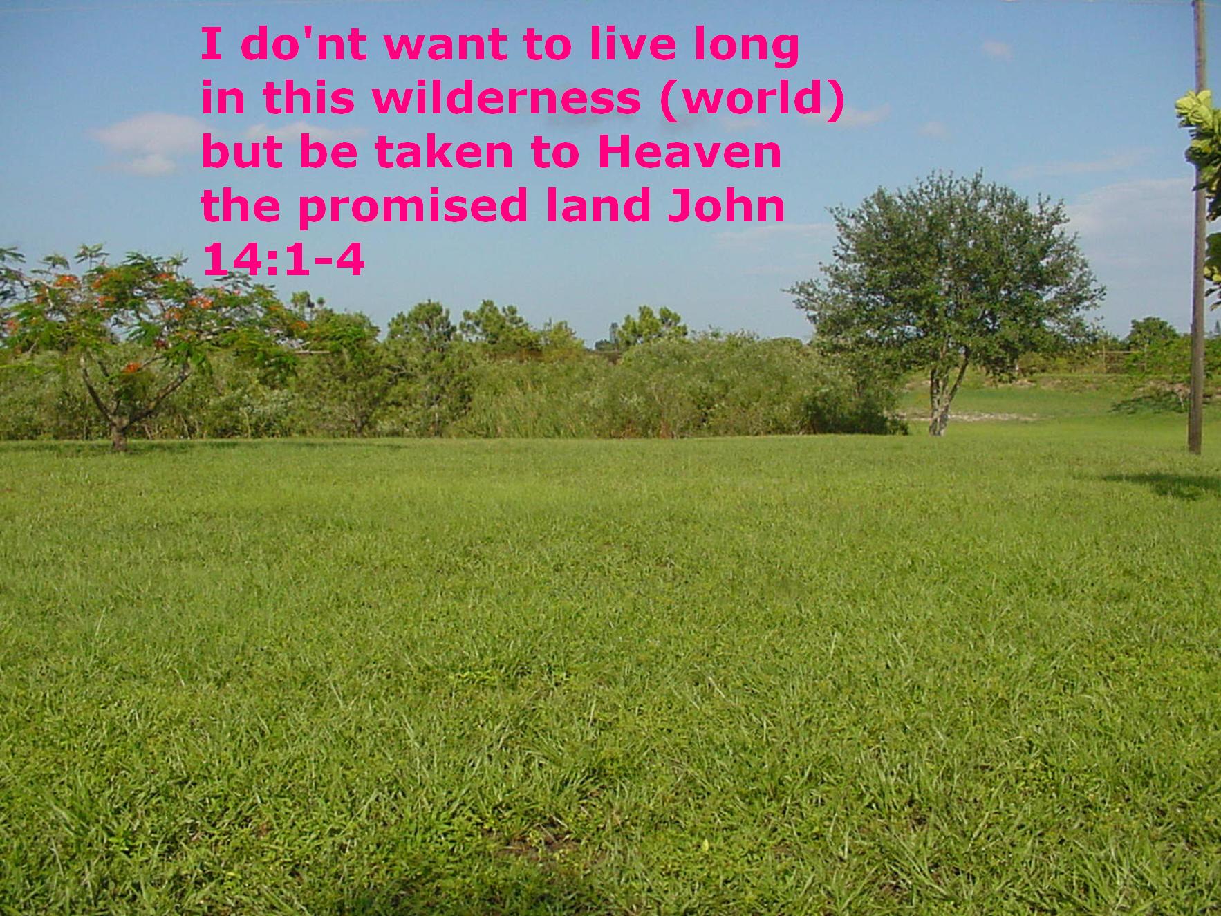 Honor your father and your mother Part-3 living long on earth