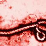 Number of Ebola Infections Reaches 22,000 Worldwide Prophecy