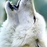 Spirit of Divination is a Satanic Spirit Spirit of Divination is from Satan