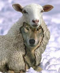 Brood of Vipers Abuse Disregard and Tell You Not to Listen to Prophets Brood of Vipers Abuse Disregard and Tell You Not to Listen to Prophets