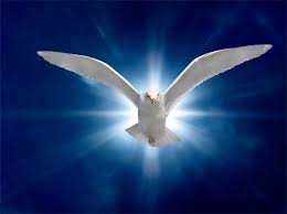 Why the Holy Spirit Departs and How to Know if He has Departed Why the Holy Spirit Departs and How to Know if He has Departed