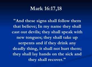 If Miracles Signs and Wonders are Not Following you, Whose Fault is it? If Miracles Signs and Wonders are Not Following you, Whose Fault is it?