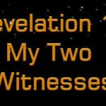 The Two Witnesses The Two Witnesses
