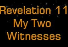 The Two Witnesses The Two Witnesses