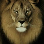 Vision of the Lion of Judah Vision of the Lion of Judah