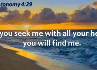 Seek the Fullness of God Not Just a Part of Him Seek the Fullness of God Not Just a Part of Him