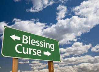 Many People are Seeking Blessings in the Road of Curses Many People are Seeking Blessings in the Road of Curses