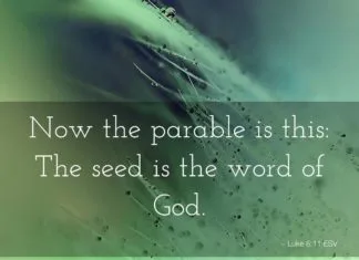 Sow a Seed – A Twisted Corrupted Gospel Sow a Seed – A Twisted Corrupted Gospel