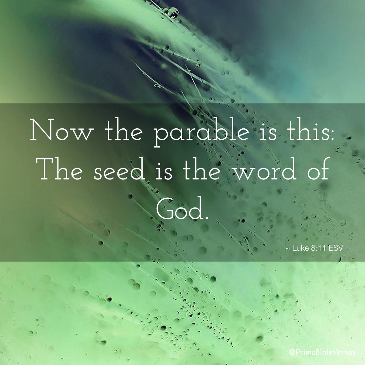 Sow a Seed – A Twisted Corrupted Gospel