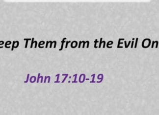 The Problem is Not the Brood of Vipers but You The Problem is Not the Brood of Vipers but You