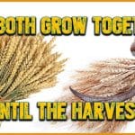 Kingdom of Darkness is on Earth Until Harvest Time Kingdom of Darkness is on Earth Until Harvest Time