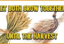 Kingdom of Darkness is on Earth Until Harvest Time Kingdom of Darkness is on Earth Until Harvest Time