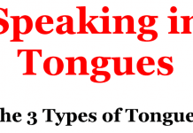 The 3 Types of Tongues (Speaking in Tongues) The 3 Types of Tongues (Speaking in Tongues)