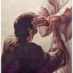 They Brought Them All to Jesus and He Healed them All They Brought Them All to Jesus and He Healed them All