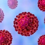 The World is Not Fighting CoronaVirus – a Revelation The World is Not Fighting CoronaVirus