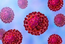 The World is Not Fighting CoronaVirus – a Revelation The World is Not Fighting CoronaVirus