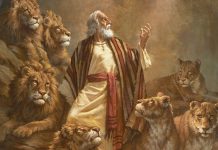 In Jesus Equals Peace With Wild Animals and Stones In Jesus Equals Peace With Wild Animals and Stones