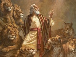 In Jesus Equals Peace With Wild Animals and Stones In Jesus Equals Peace With Wild Animals and Stones