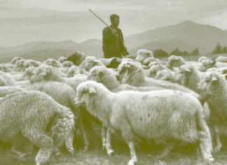 Whoever Sends You Must Facilitate and Provide for You Whoever Sends You Must Facilitate and Provide for You