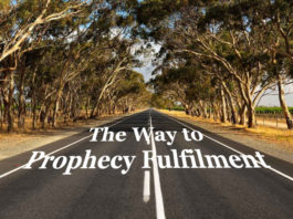 Prophecy Reveals Destination Not The Way Prophecy Reveals Destination Not The Way