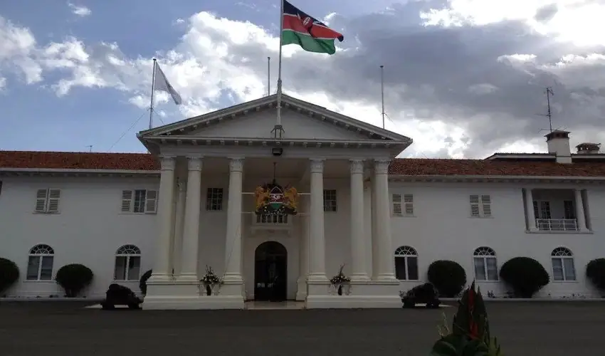 Strange Woman In State House Kenya - Revelation